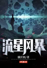 《流星风暴》封面