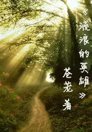 《流浪的英雄》封面