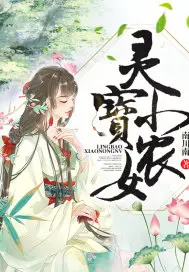 《灵宝小农女》封面