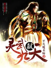 《灵武弑九天》封面