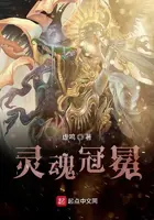 《灵魂冠冕》封面