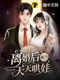 《离婚后靳少天天哄娃》封面