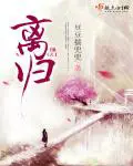 《离归》封面