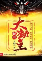 《轮回大劫主》封面