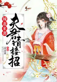 《辣妻来袭夫君请接招》封面