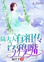 《陆夫人有祖传乌鸦嘴》封面
