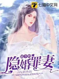 《陆少的隐婚罪妻》封面