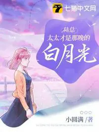 《陆总，太太才是那晚的白月光》封面