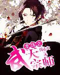 《龙珠之武天宗师》封面