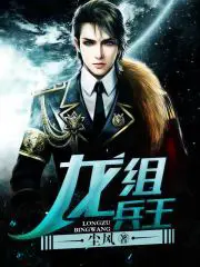 《龙组兵王》封面