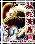 《龙蛇演义》封面