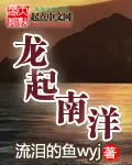 《龙起南洋》封面