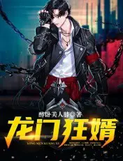《龙门狂婿》封面