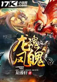 《龙魂凤魄》封面