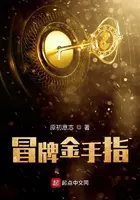 《冒牌金手指》封面