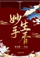 《妙手生香》封面