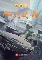 《木叶之冰封漩涡》封面