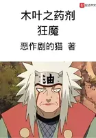 《木叶之药剂狂魔》封面
