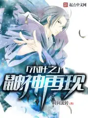 《木叶之鼬神再现》封面