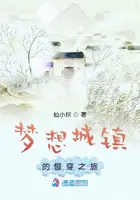 《梦想城镇的慢穿之旅》封面