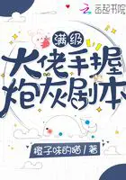 《满级大佬手握炮灰剧本》封面