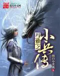 《玛雅之小兵传奇》封面