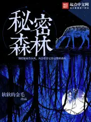 《秘密的森林》封面