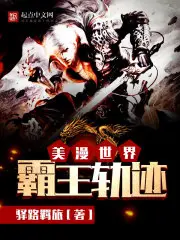 《美漫世界霸王轨迹》封面