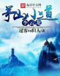 《茅山小道李云龙》封面