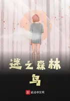 《迷之森林——鸟》封面