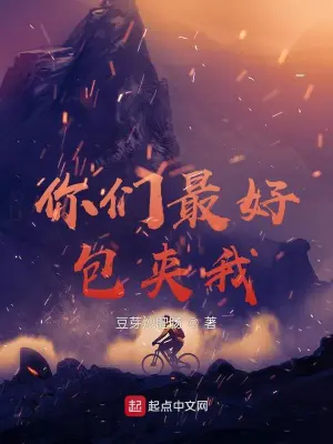《你们最好包夹我》封面