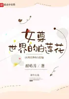 《女尊世界的白莲花》封面