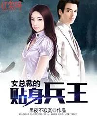 《女总裁的贴身兵王》封面