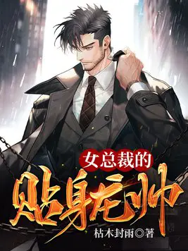 《女总裁的贴身龙帅》封面