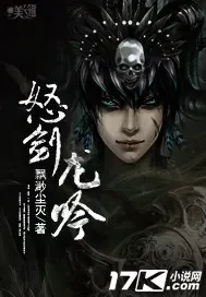 《怒剑龙吟》封面