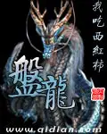 《盘龙》封面