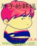 《胖子的韩娱》封面