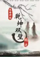 《乾坤双璧之纵横天下》封面