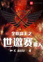 《全职高手之世邀赛同人》封面