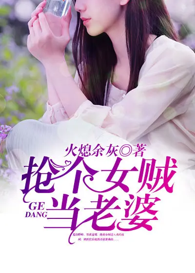 《抢个女贼当老婆》封面