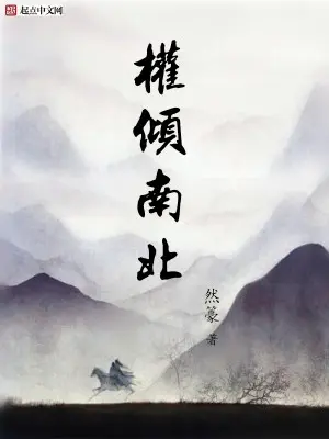 《权倾南北》封面