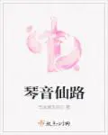 《琴音仙路》封面
