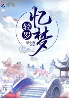 《轻罗忆梦》封面