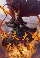 《齐天大圣在海贼》封面