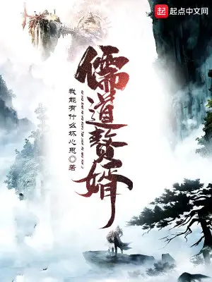 《儒道赘婿》封面