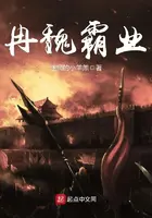 《冉魏霸业》封面