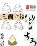 《三国中的仙与大王》封面