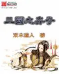 《三国之弃子》封面