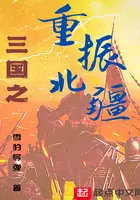 《三国之重振北疆》封面