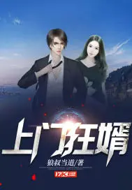 《上门狂婿》封面